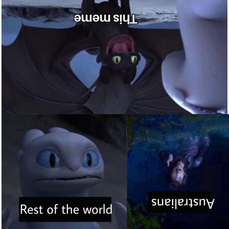 Toothless dragon and Light Fury memes