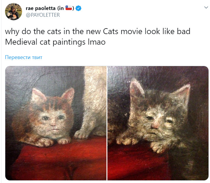 Мемы про киноадаптацию мюзикла "Кошки"