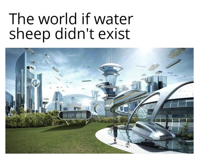 Water sheep meme