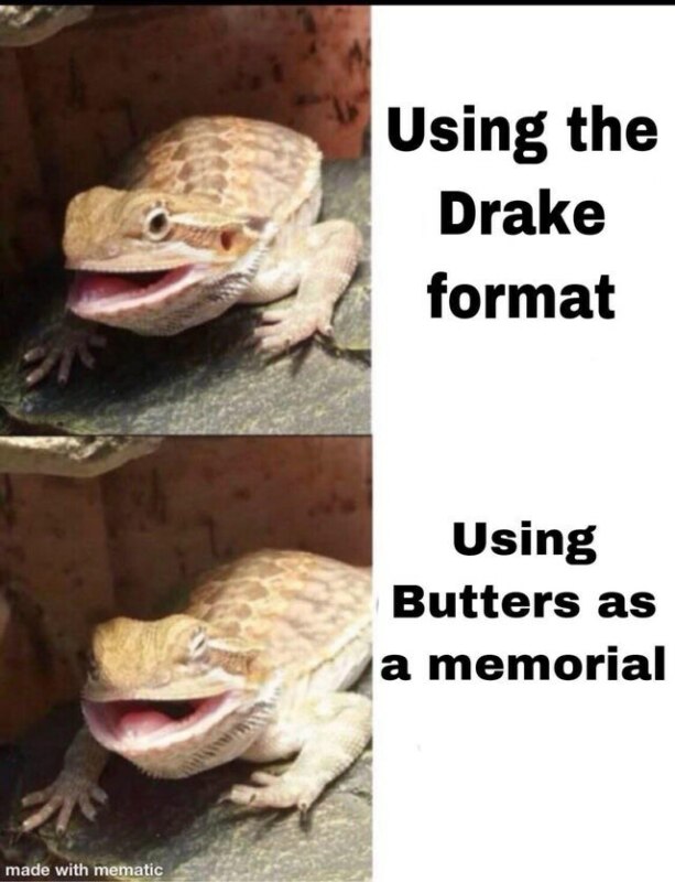 Butter lizard bearded dragon meme