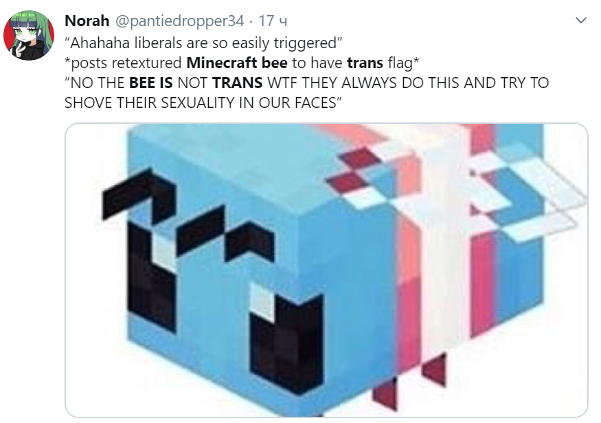 Minecraft bee is trans