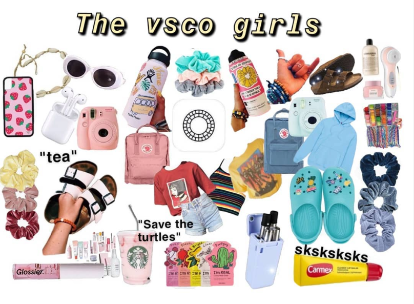 Кто такие VSCO Girl