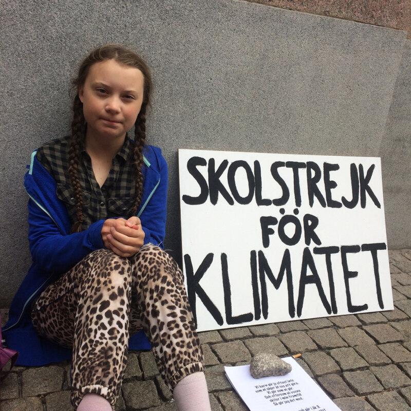 Greta Thunberg meme