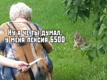 Бабушка с ножом за спиной и кролик мем
