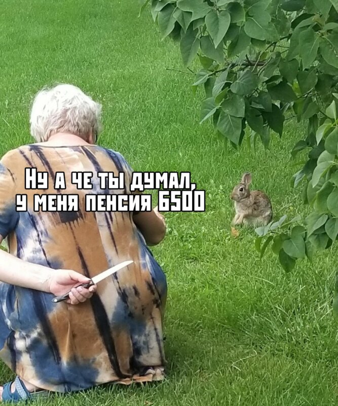Бабушка с ножом за спиной и кролик мем