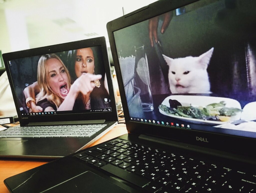 мем с женщинами орущими на кота перенесли на компьютеры