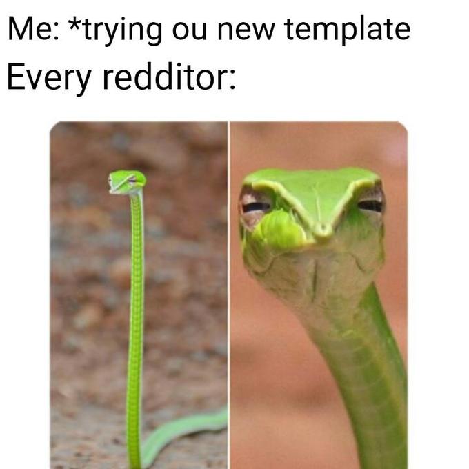 скептическая змея мем
