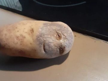 Картошка с человеческим лицом