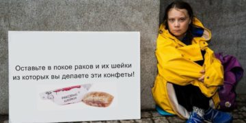 мемы с гретой тунберг