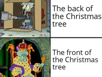 Задняя сторона елки и передняя сторона елки