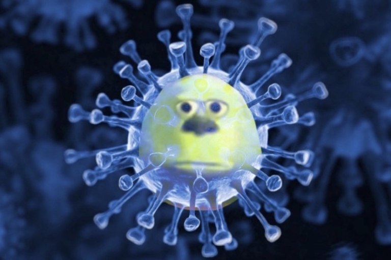 мемы про коронавирус