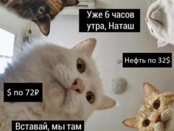 Наташ, ты спишь? Мы там все уронили