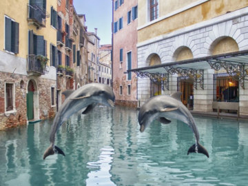 Дельфины вернулись в Венецию