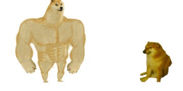 Качок Доге и Чимс