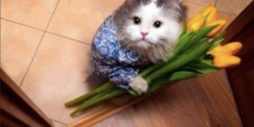 отмена самоизоляции