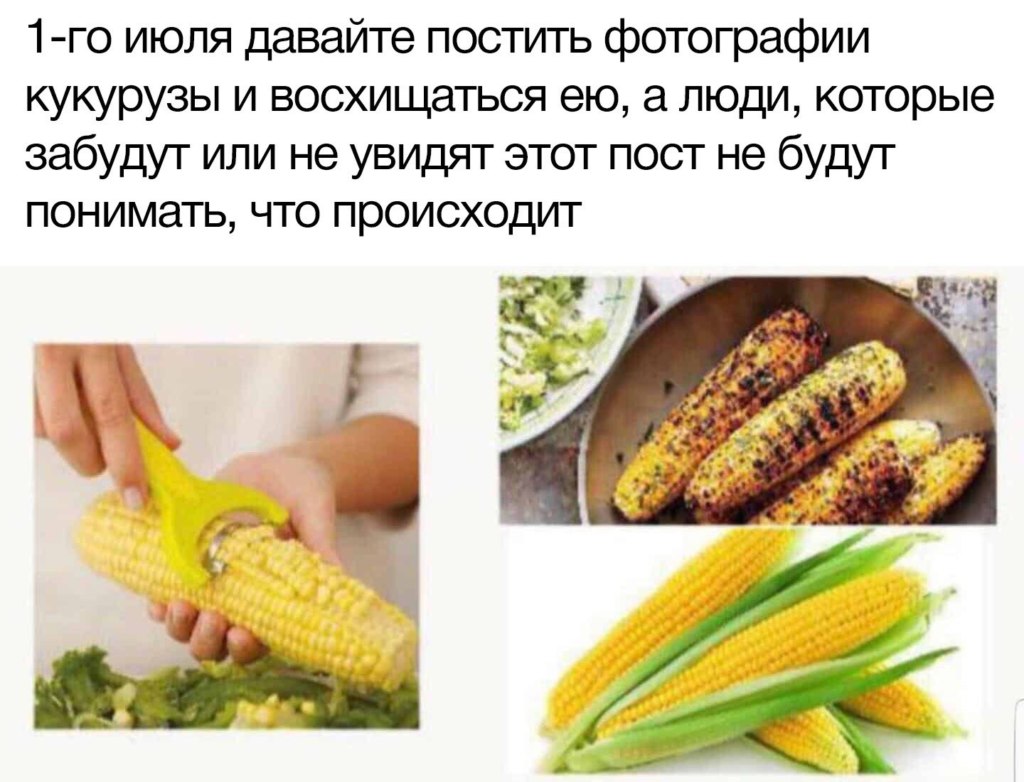 мемы про кукурузу 1 июля