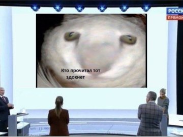 Твиты про абьюз на россии-1