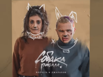 Джарахов Собака писала