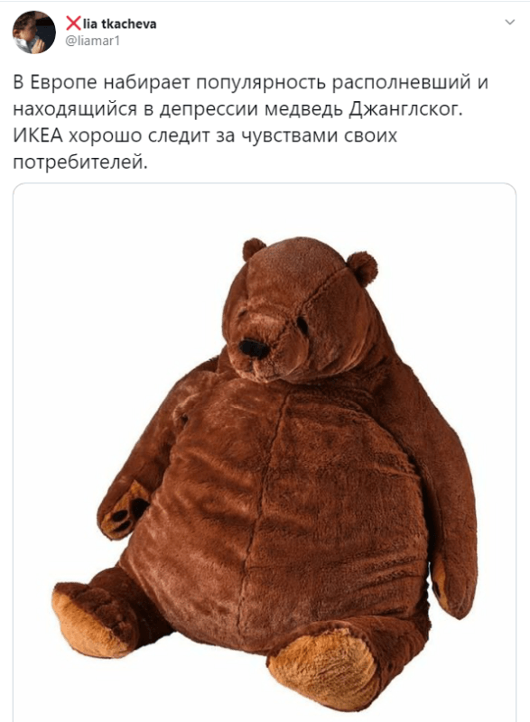 Медведь Дьюнгельског
