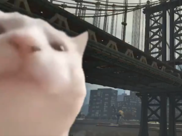 белый кот качает головой