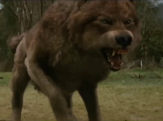 безумно можно быть первым мем