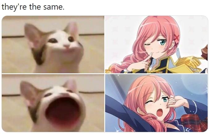 pop cat meme