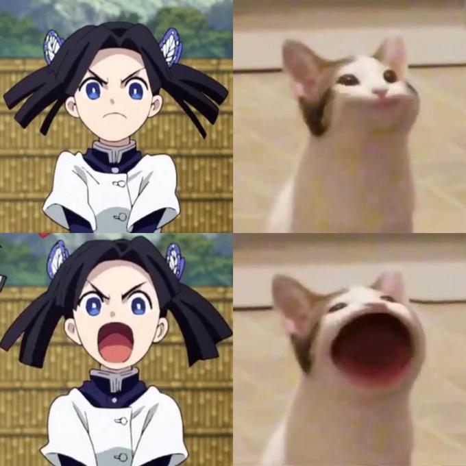 pop cat meme