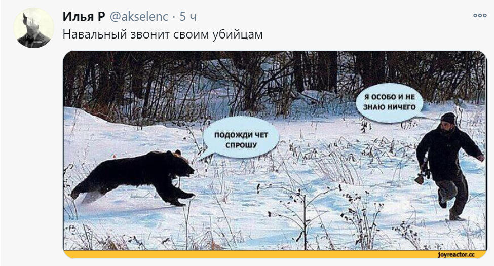 навальный позвонил мемы