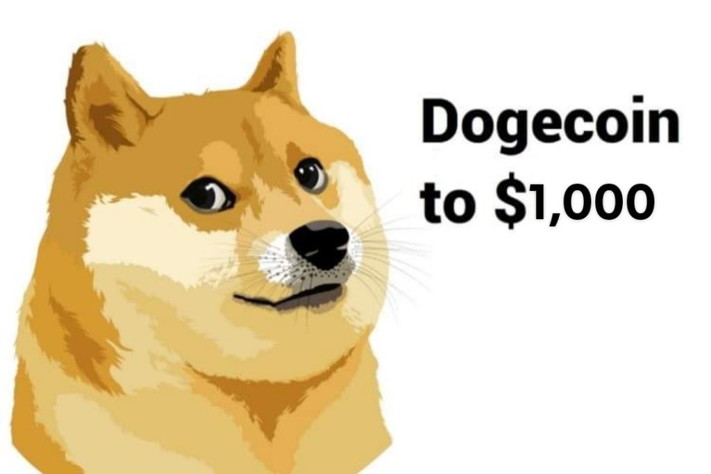 doge coin memes