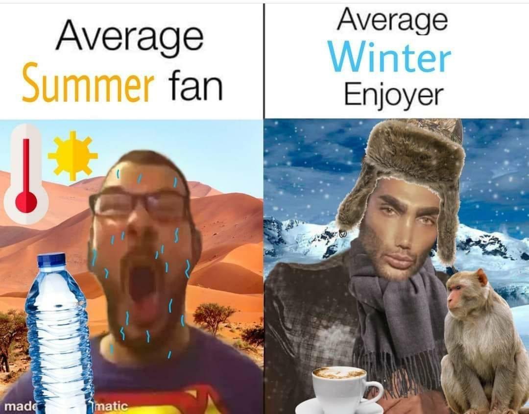 Average Fan vs. Average Enjoyer - мем типичный фанат и ценитель