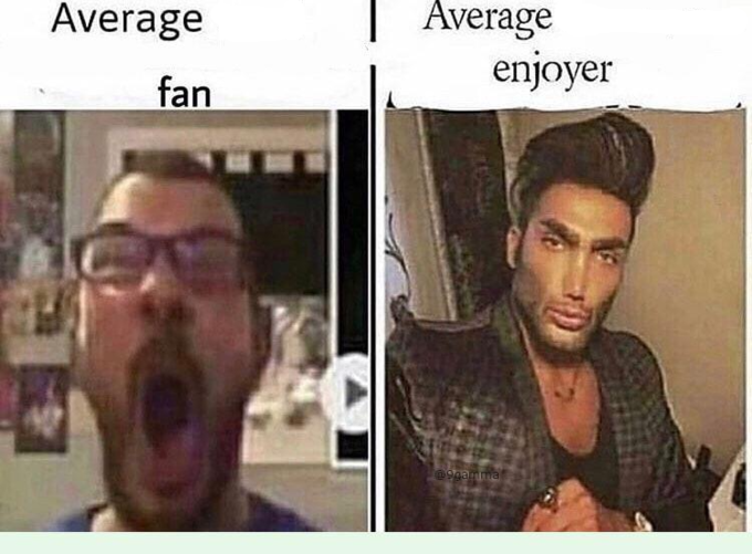 average fan average enjoyer мемы