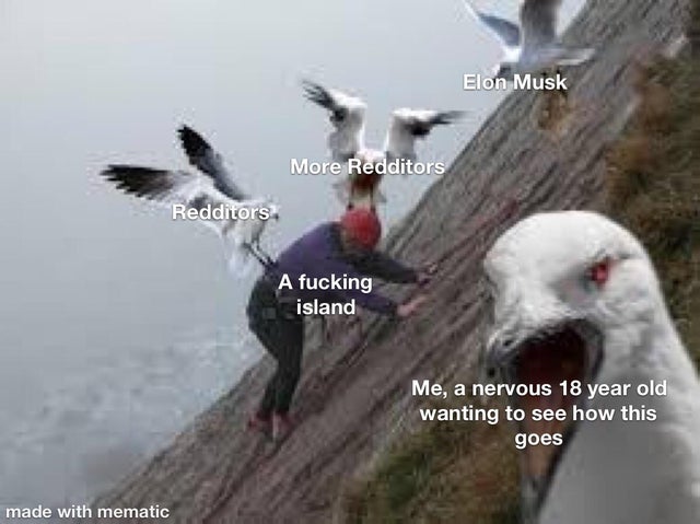 Memeland Reddit Island
