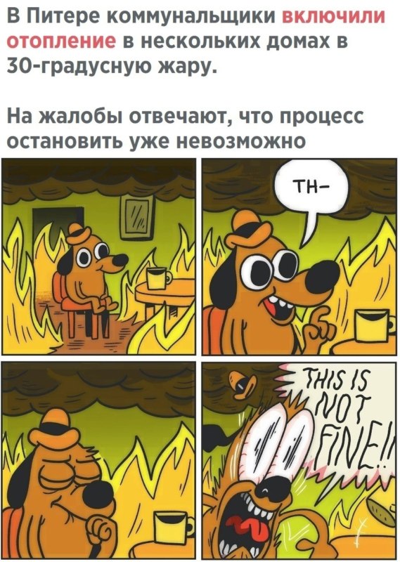 Мемы про жару в России. Соцсети обсуждают аномальную погоду
