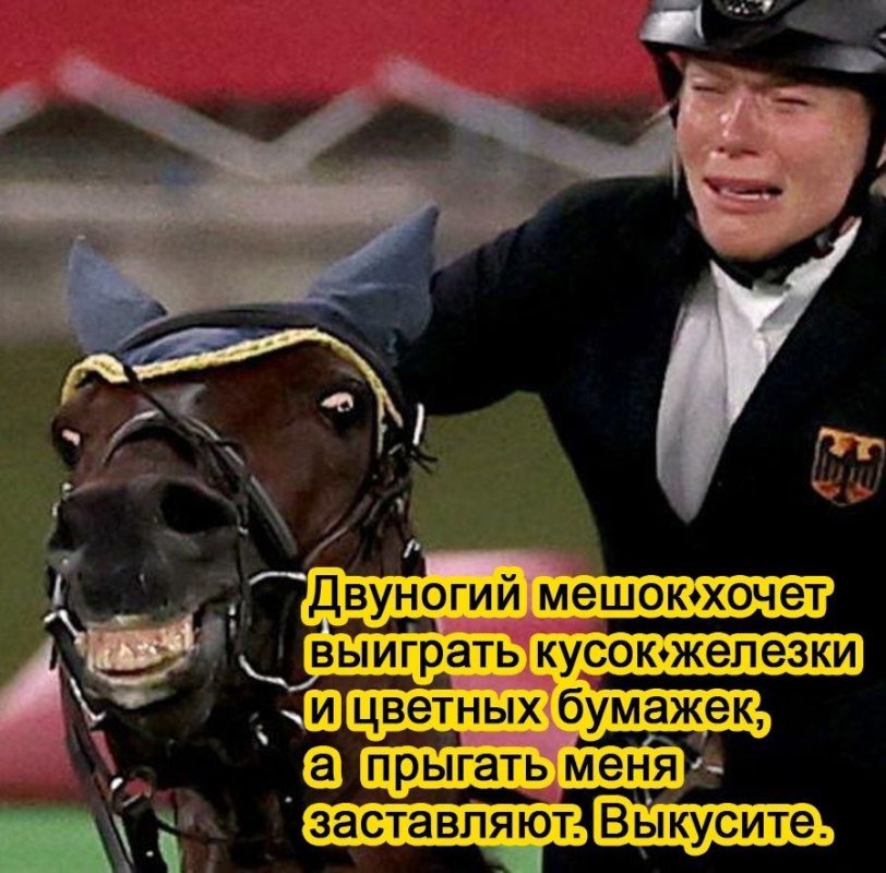 Лошадь отказалась ехать на Олимпиаде . И прискакала в мемы