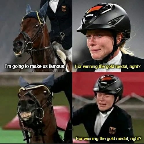 Лошадь отказалась ехать