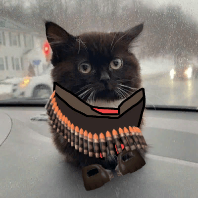Кот сидит на панели автомобиля - мем Чмоня