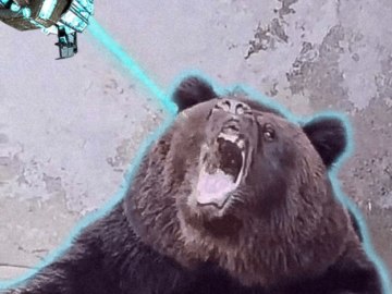 Медведь пьет Фанту