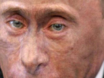 Путин Обезьяна (Monkey Putin)