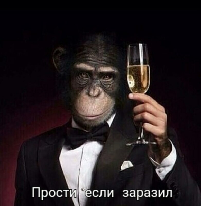 обезьяннья оспа мемы