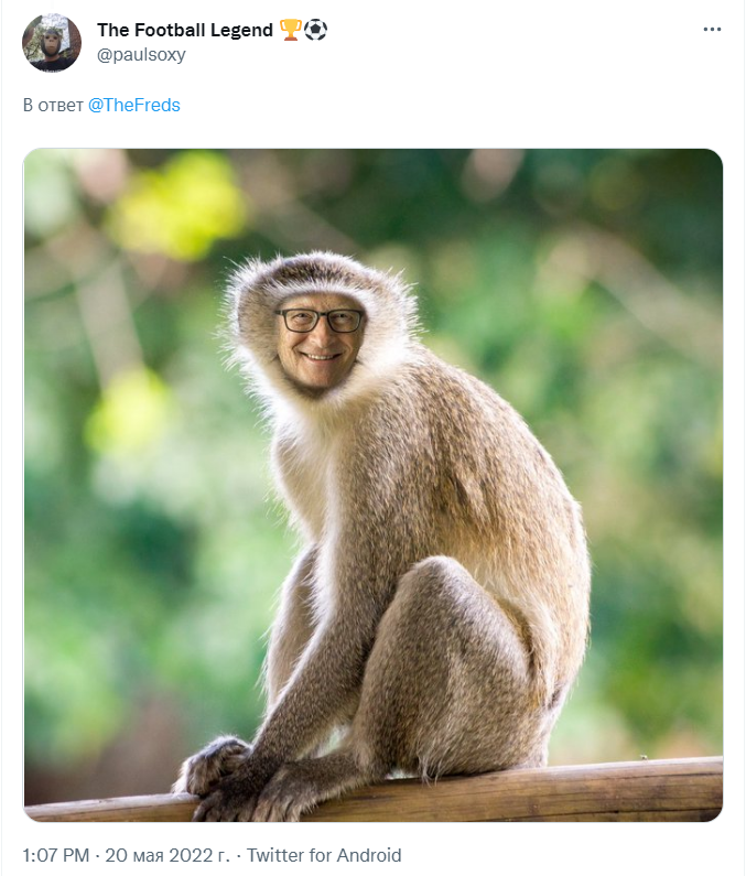 оспа обезьян билл гейтс
