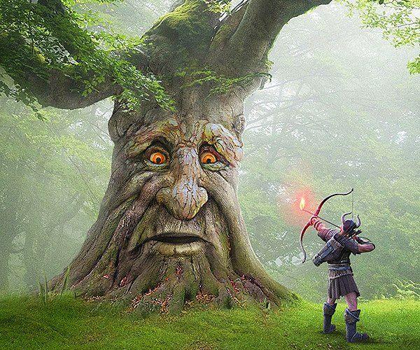 Мудрое таинственное дерево