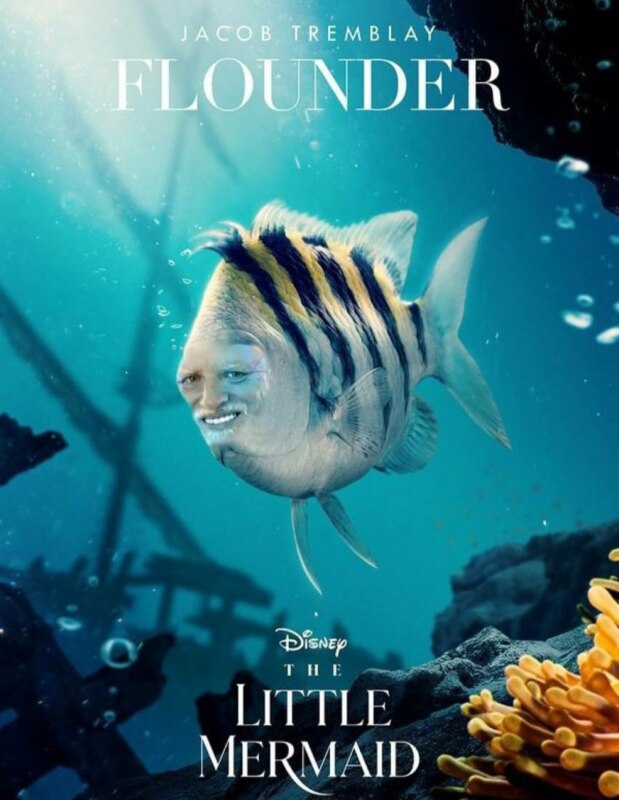 flounder meme