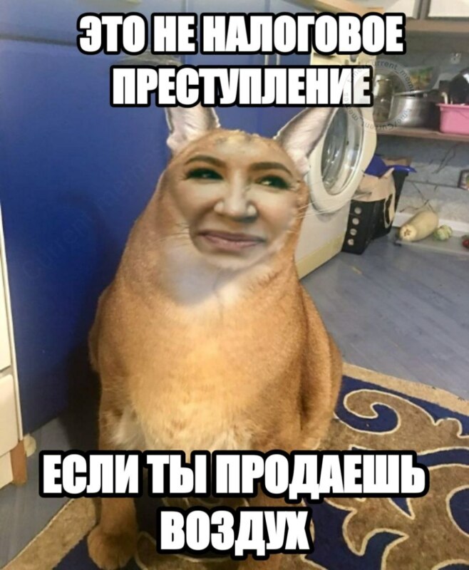 Елена Блиновская