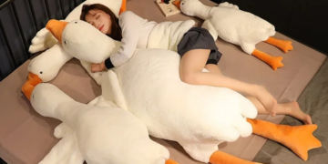 Гусь обнимусь