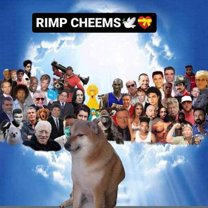 rip cheems