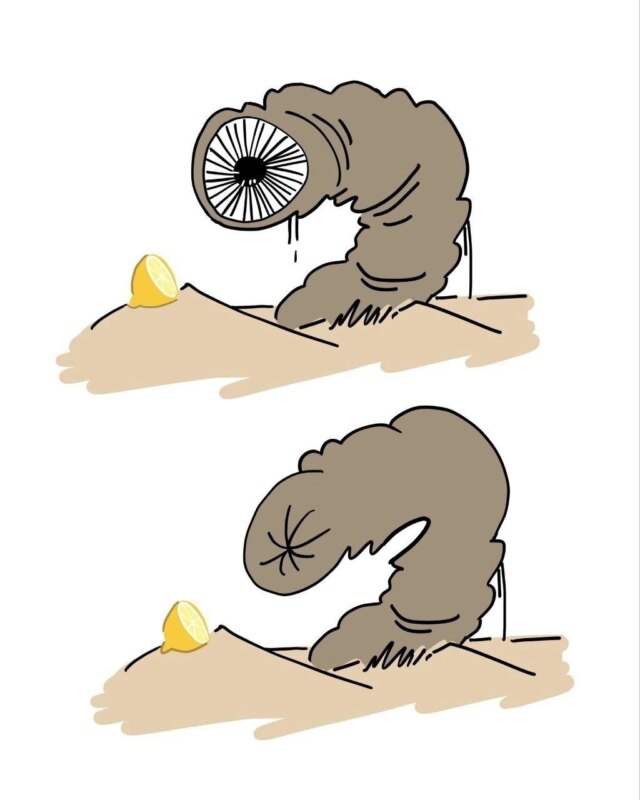 Скукоживающий лимон