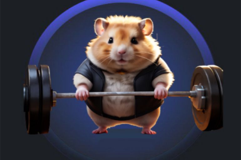 Hamster kombat 10 11. Hamster kombat 10 11. Hamster kombat 10 11. Hamster kombat 10 11. Hamster kombat 10 11.