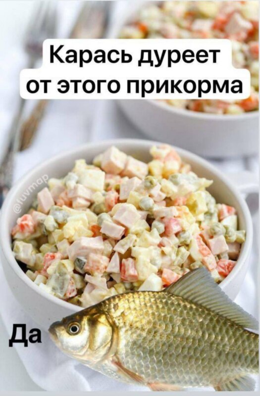 Карась дуреет