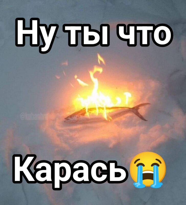 Карась дуреет