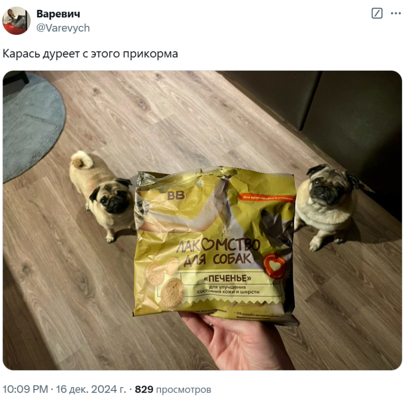 карась дуреет мем